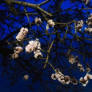 儿子隔板猜妈妈姐姐妹妹节目
